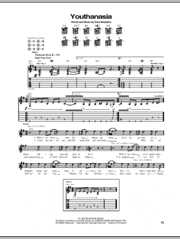 page one of Youthanasia (Guitar Tab)