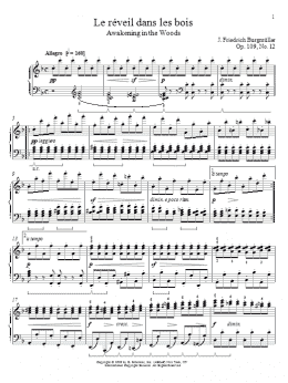 page one of Awakening In The Woods (Piano Solo)