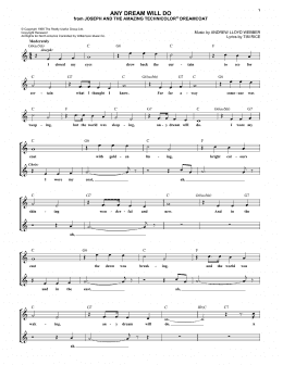 page one of Any Dream Will Do (from Joseph and the Amazing Technicolor Dreamcoat) (Lead Sheet / Fake Book)