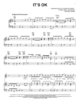 page one of It's OK (Piano, Vocal & Guitar Chords (Right-Hand Melody))