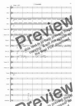 page one of Symphony No 29 5th movement