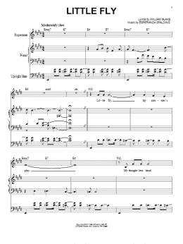 page one of Little Fly (Piano & Vocal)