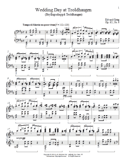 page one of Wedding Day At Troldhaugen (Bryllupsdag pa Troldhaugen), Op. 65, No. 6 (Piano Solo)