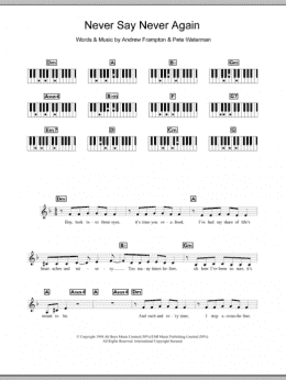 page one of Never Say Never Again (Piano Chords/Lyrics)