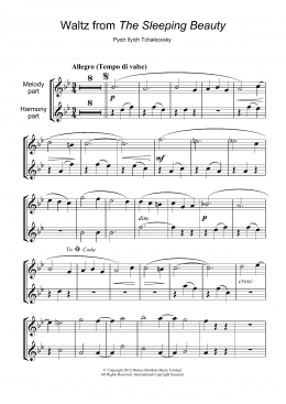 page one of Waltz (from The Sleeping Beauty) (Flute Solo)