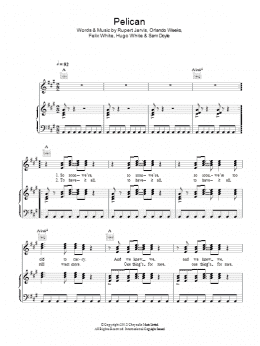 page one of Pelican (Piano, Vocal & Guitar Chords)