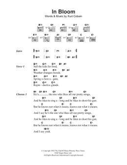 page one of In Bloom (Guitar Chords/Lyrics)