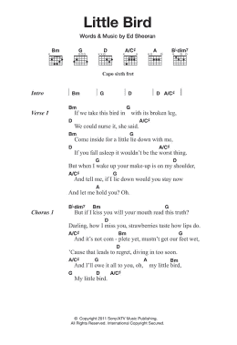 page one of Little Bird (Guitar Chords/Lyrics)