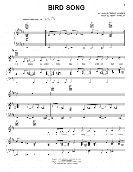 page one of Bird Song (Piano, Vocal & Guitar Chords (Right-Hand Melody))