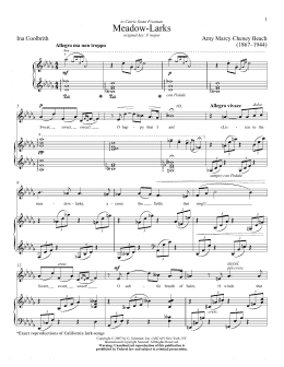page one of Meadow-Larks (Piano & Vocal)