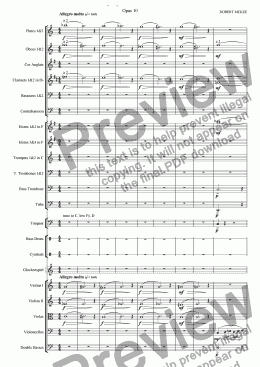page one of Symphonic Sketch