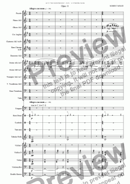 page one of Divertimento for Orchestra
