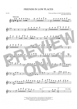 page one of Friends In Low Places (Flute Solo)