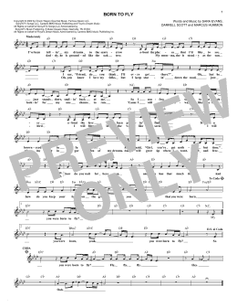 page one of Born To Fly (Lead Sheet / Fake Book)