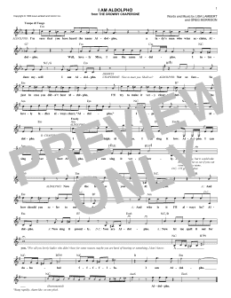 page one of I Am Aldolpho (Lead Sheet / Fake Book)