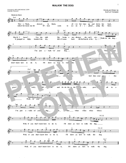 page one of Walkin' The Dog (Lead Sheet / Fake Book)