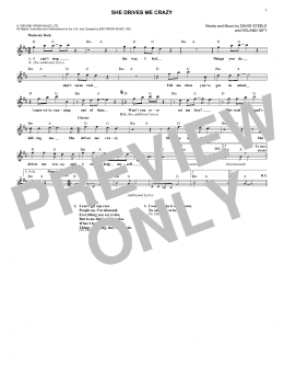 page one of She Drives Me Crazy (Lead Sheet / Fake Book)