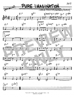 page one of Pure Imagination (Real Book – Melody & Chords – C Instruments)