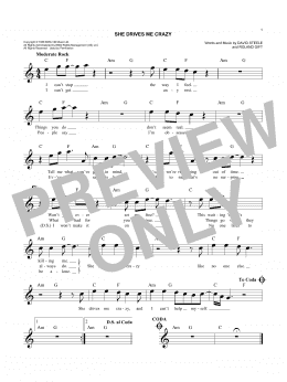 page one of She Drives Me Crazy (Easy Lead Sheet / Fake Book)