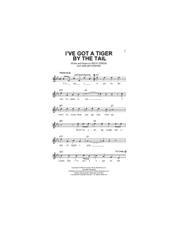 page one of I've Got A Tiger By The Tail (Lead Sheet / Fake Book)