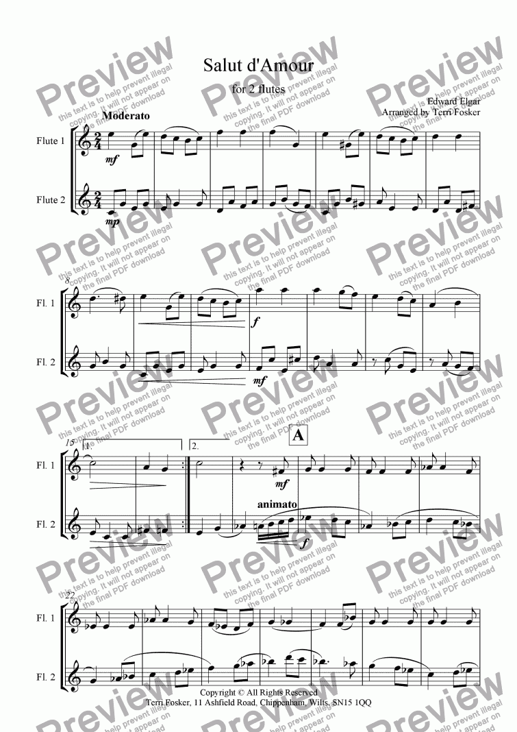 page one of Salut d'Amour - Flute Duet