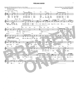 page one of Feeling Good (Lead Sheet / Fake Book)