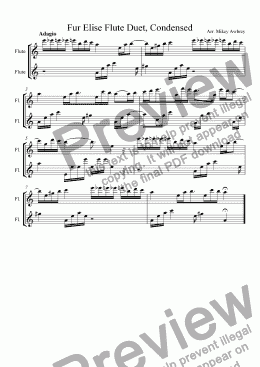 page one of Fur Elise: Flute Duet