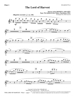 page one of The Lord of Harvest - Flute 1 (Choir Instrumental Pak)