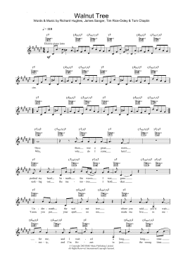 page one of Walnut Tree (Lead Sheet / Fake Book)