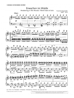 page one of Awakening in the Woods (Piano Solo)