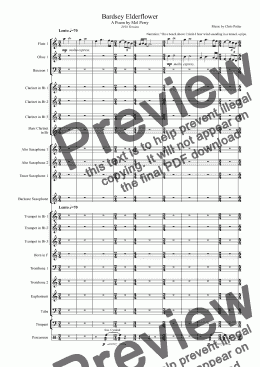 page one of Bardsey Elderflower - Wind Band Version
