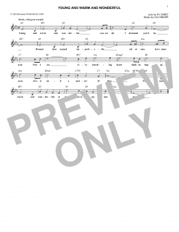 page one of Young And Warm And Wonderful (Lead Sheet / Fake Book)