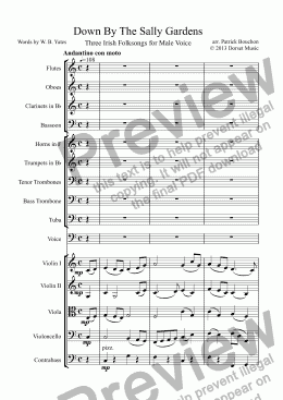 page one of Down By The Sally Gardens for Male Voice and Orchestra