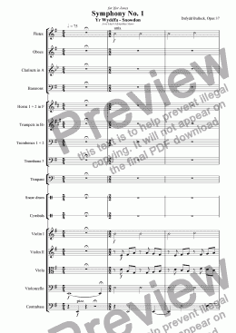 page one of Symphony No 1