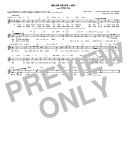 page one of Never Never Land (from Peter Pan) (Lead Sheet / Fake Book)