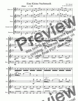 page one of Eine Kleine Nachtmusik for Woodwind Quintet