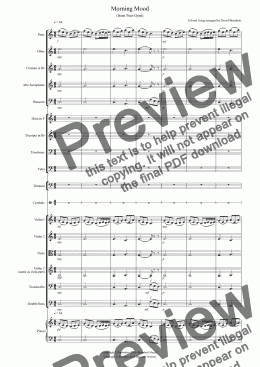 page one of Morning Mood (from Peer Gynt) for School Orchestra