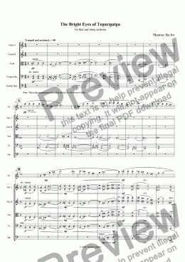 page one of The Bright Eyes of Tegucigalpa (fl. & str. orch.)