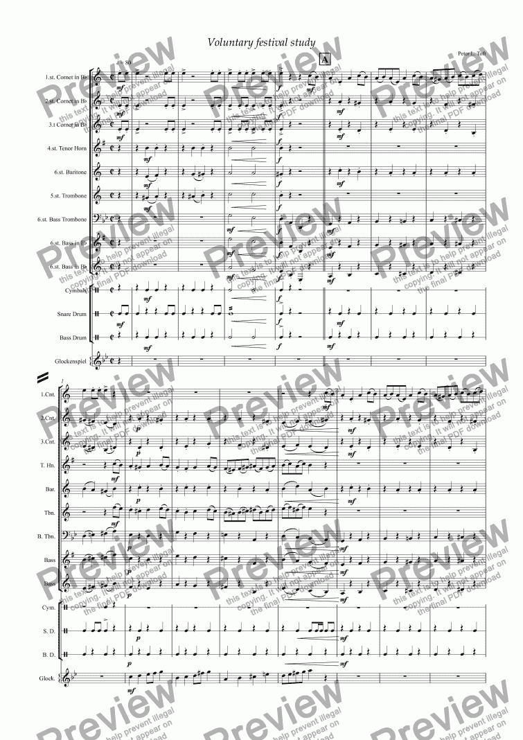 page one of Voluntary festival study