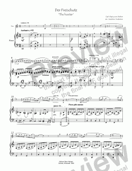 page one of Andersen Die Freischutz fl & pno - Full Score