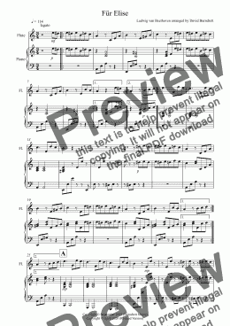 page one of Für Elise for Flute and Piano