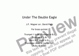 page one of Under The Double Eagle