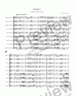 page one of Dvorak Serenade 1 (SopSSAATTBGb Recorders)