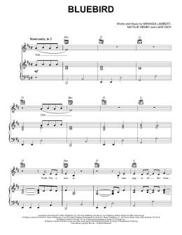 page one of Bluebird (Piano, Vocal & Guitar Chords (Right-Hand Melody))