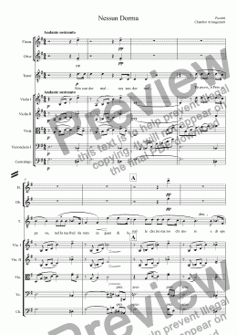 page one of Nessun Dorma