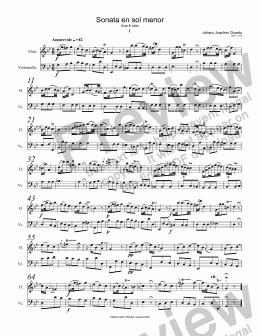 page one of Sonata en sol menor flute & cello 