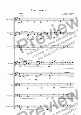 page one of Flute Concerto  Second Movement