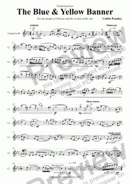 page one of The Blue & Yellow Banner for Clarinet in Bb