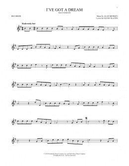 page one of I've Got A Dream (from Tangled) (Recorder Solo)