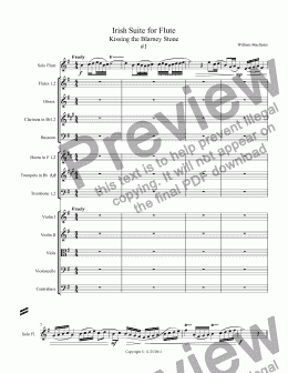 page one of Irish Suite for Flute  Kissing the Blarney Stone  #1